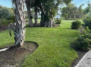 Tammy C.'s turf maintenance service result