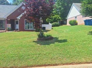 Pa M.'s grass cutting service result