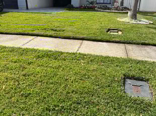 Kim R.'s grass maintenance service result