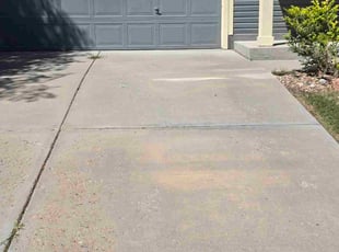 Jeremy B.'s lawn maintenance service result