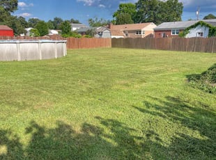 Spring S.'s grass maintenance service result