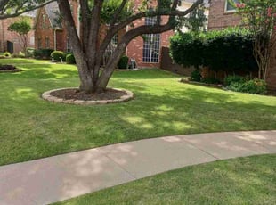 Earl D.'s grass cutting service result