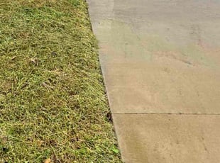 Tracy C.'s turf care service result