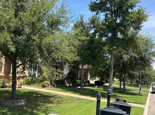 Darla B.'s lawn service service result