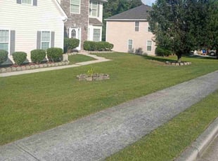 Demetria L.'s turf care service result