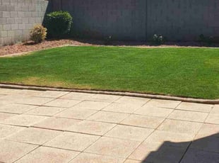 Carlos M.'s yard maintenance service result