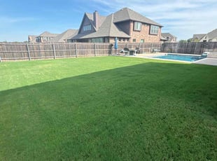 Lasean G.'s lawn care services service result