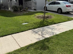 Luke F.'s lawn care service result