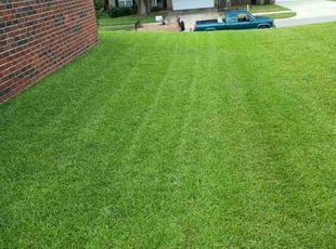 Joseph H.'s grass maintenance service result