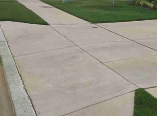 Kolawole A.'s turf care service result