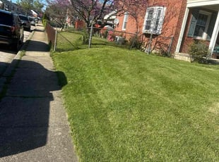 Charlene M.'s turf care service result
