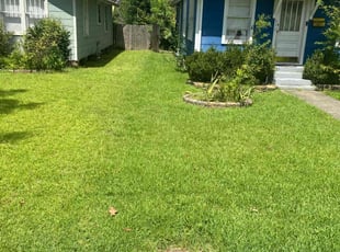 James R.'s grass cutting service result