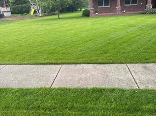 Tina W.'s lawn service service result
