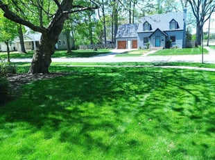 Rylee H.'s lawn maintenance service result