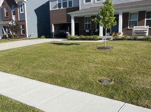 Richard R.'s lawn care service result