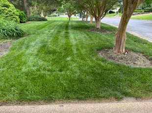 Jessica D.'s lawn care services service result