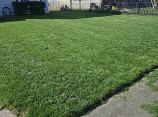 Shon H.'s yard maintenance service result