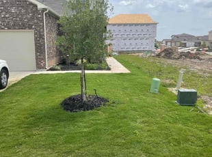 Karen S.'s grass maintenance service result