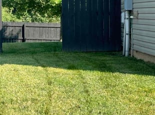 Eva D.'s lawn maintenance service result