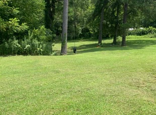 Chris S.'s lawn care service result