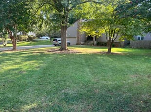 Melinda T.'s turf care service result