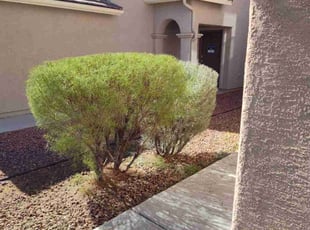 Charles H.'s lawn service service result