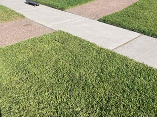 Yolanda V.'s turf maintenance service result