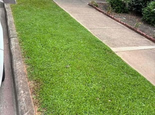 Michael W.'s grass cutting service result