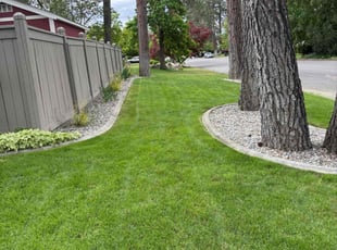 Lavern P.'s turf care service result