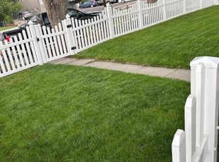 David H.'s lawn maintenance service result