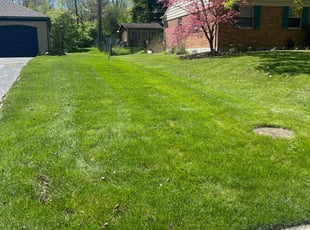 Victor V.'s turf maintenance service result