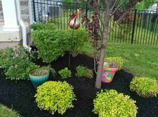 Robert M.'s Mulching service result