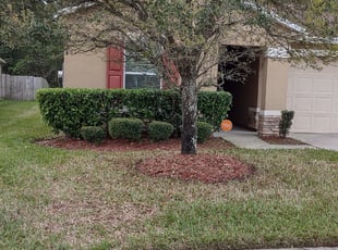 Chris A.'s Bush Trimming service result