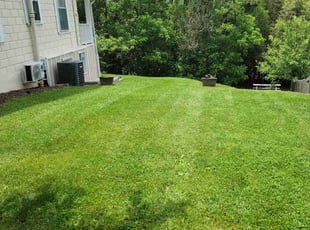 Ed L.'s turf maintenance service result