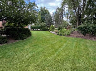 Sharon B.'s lawn maintenance service result