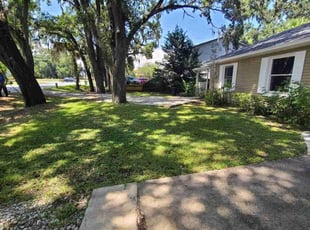 Daria S.'s turf maintenance service result