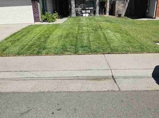 Nancy G.'s lawn care service result
