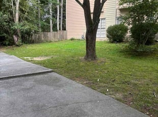 Liz N.'s grass cutting service result