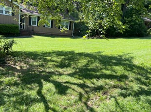 Chris O.'s landscape maintenance service result