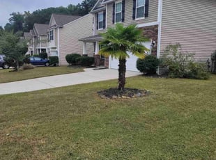 Linda W.'s turf maintenance service result