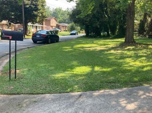 Hyunsuk J.'s lawn maintenance service result