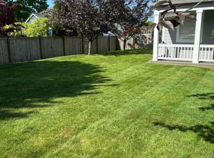 Judy T.'s lawn care services service result
