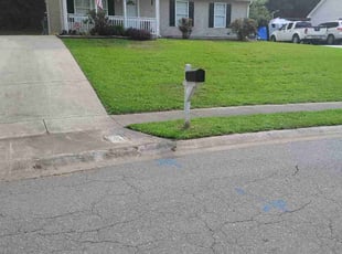 Bonnie L.'s grass maintenance service result