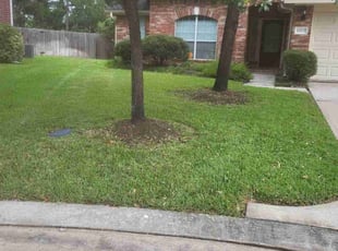 Amanda M.'s residential landscaping service result
