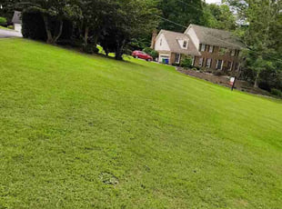 Slawko S.'s grass maintenance service result