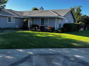 Shirley R.'s lawn care service result