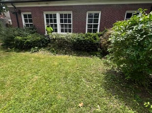 Dylon N.'s Bush Trimming service result