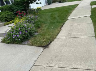 Anne M.'s grass cutting service result