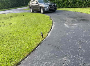 Peter Y.'s lawn care service result