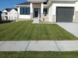 Chris R.'s grass maintenance service result